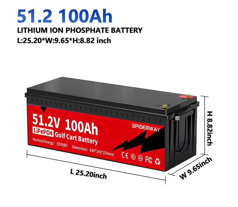 48V 100Ah LiFePO4 lithium battery with built-in 200A BMS for golf carts/solar energy storage/electric vehicles